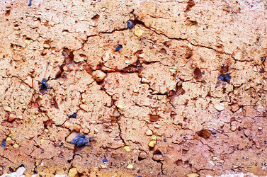 Similar image 9730007