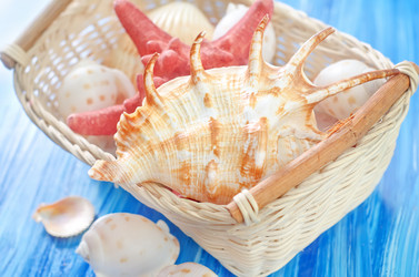 Similar image 9730485