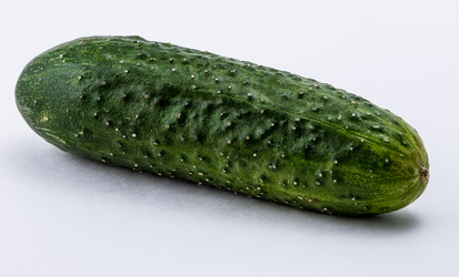 Similar image 9732969