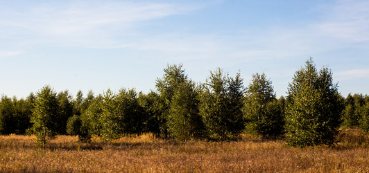 Similar image 9733520