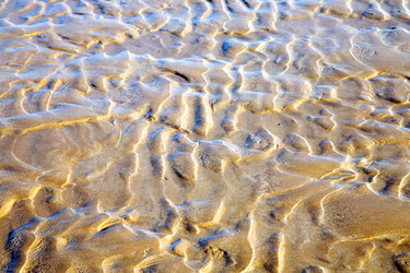 Similar image 9733550