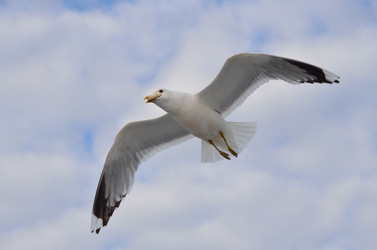 Similar image 9733765