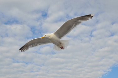 Similar image 9733767