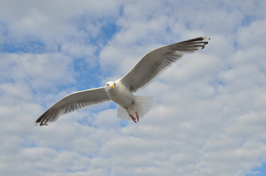 Similar image 9733771