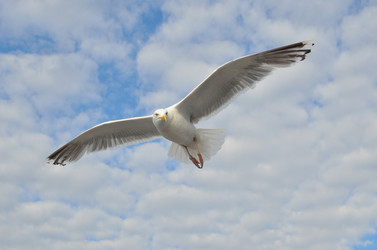 Similar image 9733773