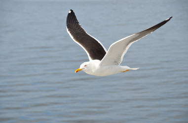 Similar image 9733776