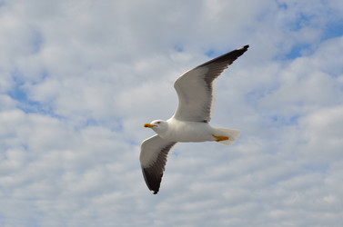 Similar image 9733779