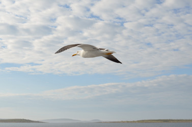 Similar image 9733781