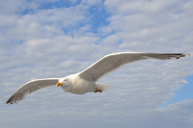 Similar image 9733784