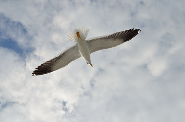 Similar image 9733788