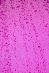 Similar image 9733948