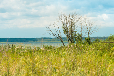 Similar image 9734848