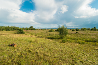 Similar image 9735052