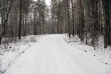 Similar image 9736219