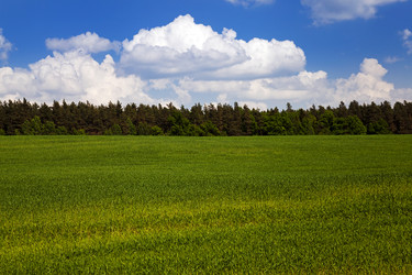 Similar image 9736234