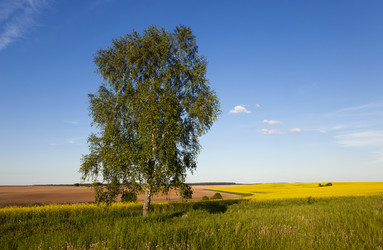 Similar image 9736251