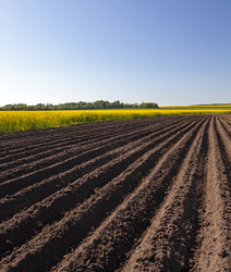 Similar image 9736410