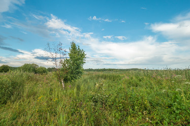 Similar image 9736878