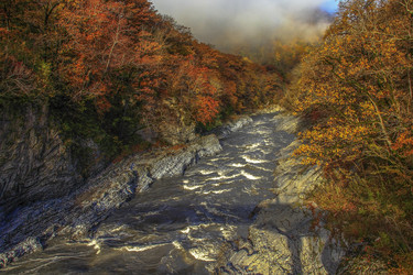 Similar image 9736880