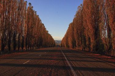 Similar image 9736906