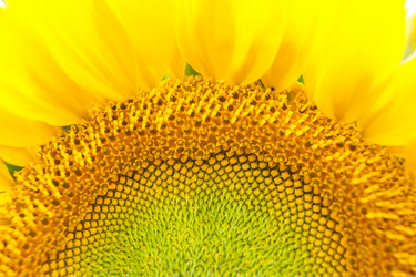 Similar image 9737327