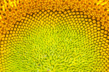 Similar image 9737330