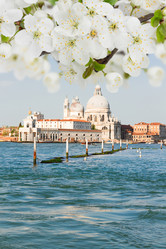 Similar image 9739215