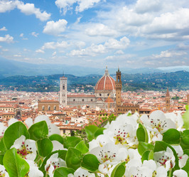 Similar image 9739229