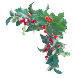 Similar image 9739236