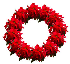 Similar image 9739241