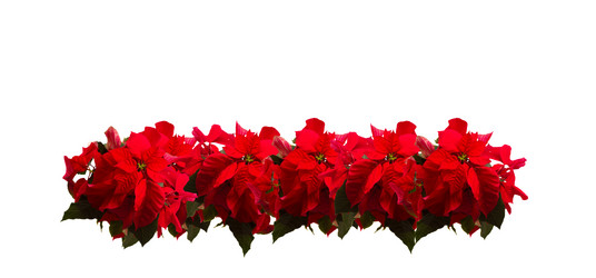 Similar image 9739242