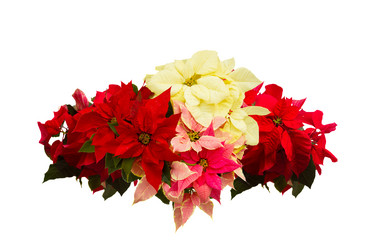 Similar image 9739244