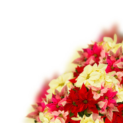 Similar image 9739246