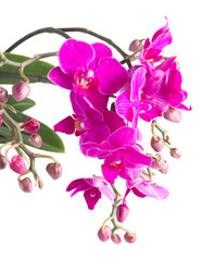 Similar image 9739425