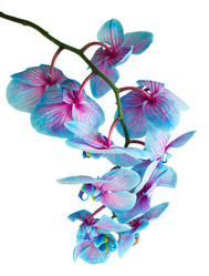 Similar image 9739430