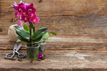 Similar image 9739440