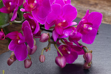 Similar image 9739442