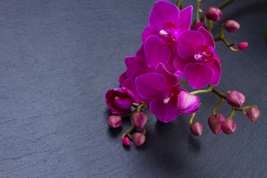 Similar image 9739444