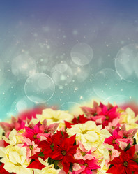 Similar image 9739603