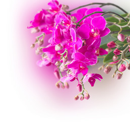 Similar image 9739609