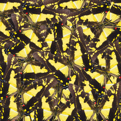 Similar image 9739632