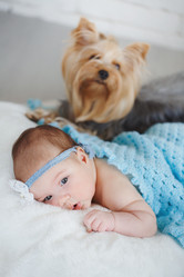 Similar image 9740203