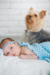 Similar image 9740205