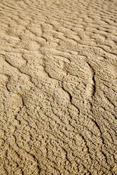 Similar image 9741661