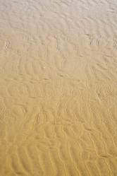 Similar image 9741680