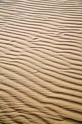 Similar image 9741798