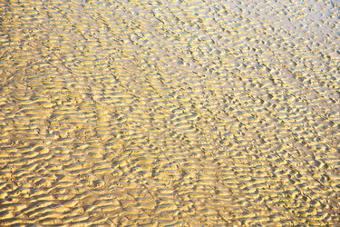 Similar image 9741807