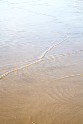 Similar image 9741809