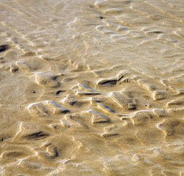 Similar image 9741816