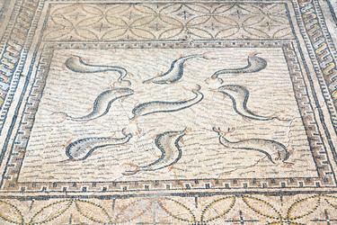 Similar image 9742192